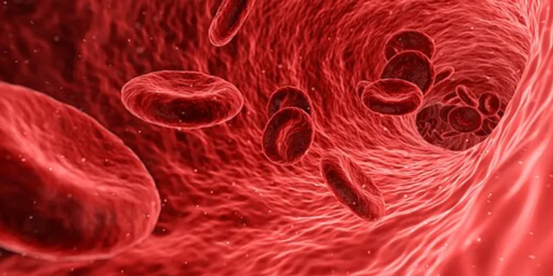 What is Blood and What Are the Types of Blood Group? Detailed explanation of blood composition and different blood group types with their significance.